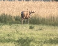 IMG_7989.jpeg