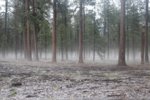 6FD2F4BD-6917-4D79-9D3E-CE940F78295F.jpeg