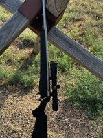 IMG_1545.jpeg