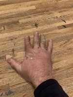 IMG_5918.jpeg IMG_5918.jpeg