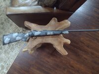 IMG_20240730_174128763.jpg IMG_20240730_174128763.jpg