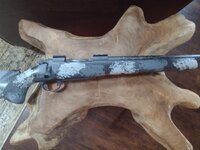 IMG_20240730_174144629.jpg IMG_20240730_174144629.jpg