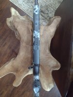 IMG_20240730_174304353.jpg IMG_20240730_174304353.jpg