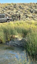 antelope brush blind.jpg