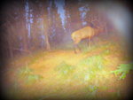 1966C56B-1F6D-4B4B-90F7-B0905A9424C3.jpeg