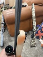 IMG_8373.jpeg