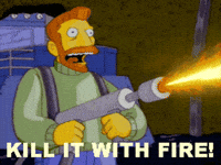 1000025563.gif 1000025563.gif