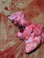 IMG_2467.jpeg IMG_2467.jpeg