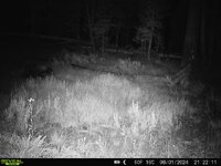 IMG_7249.jpeg IMG_7249.jpeg