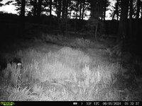 IMG_7280.jpeg IMG_7280.jpeg