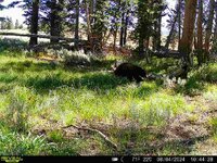 IMG_7270.jpeg IMG_7270.jpeg