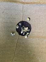 08022024 2.jpg