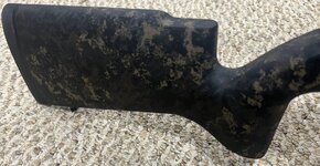 IMG_1537.jpeg