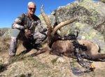 Ibex 2.JPG
