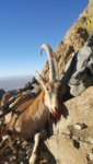 20171007_174738.jpg