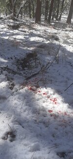 Resized_20221103_112900_1519577745439015.jpeg Resized_20221103_112900_1519577745439015.jpeg