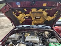 20240327_104448.jpg 20240327_104448.jpg