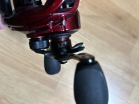 IMG_3321.jpeg