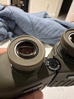 IMG_1950.jpeg