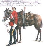 rcmp1879c-web_jpg.jpg