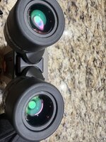 IMG_2449.jpeg