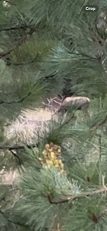 IMG_3829.png