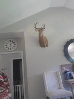 20240921_105913.jpg