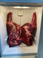 IMG_8222.jpeg IMG_8222.jpeg