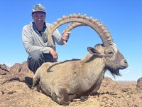 IMG_0217.jpeg IMG_0217.jpeg