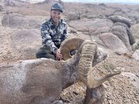 IMG_0102.jpeg IMG_0102.jpeg