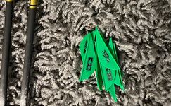 IMG_5567.jpeg