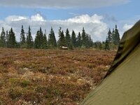 IMG_9456.jpeg