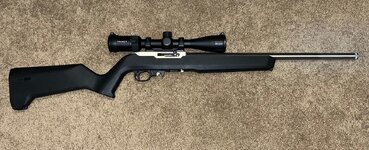 Ruger 10-22 LVT.jpg