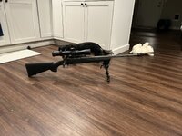 IMG_8169.jpeg