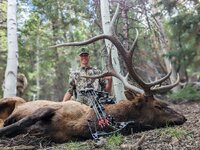 Easton Elk - 9-12-22.jpg