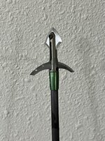 262FC001-760D-4E17-BE44-C419E54A32C6.jpeg 262FC001-760D-4E17-BE44-C419E54A32C6.jpeg