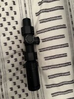 IMG_2217.jpeg