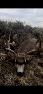 2024 Idaho Deer only.jpg