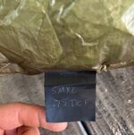 IMG_5087.jpeg