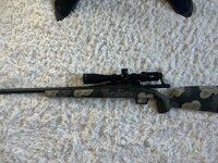 IMG_2221.jpeg