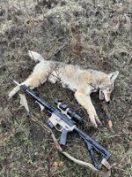 IMG_5260.jpeg