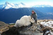 jake-alaska-mountain-goat.jpg