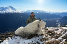 mark-alaska-mountain-goat.jpg