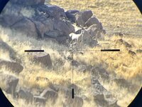 IMG_6766.jpeg IMG_6766.jpeg