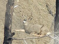 20241015_092329.jpg 20241015_092329.jpg