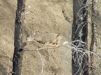 20241015_094317.jpg 20241015_094317.jpg