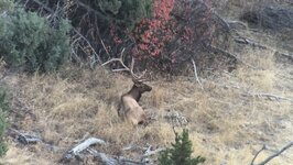 IMG_5522.jpeg IMG_5522.jpeg