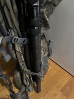 IMG_5409.jpeg IMG_5409.jpeg
