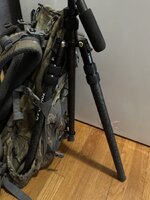 IMG_5411.jpeg IMG_5411.jpeg