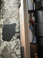 IMG_2613.jpeg